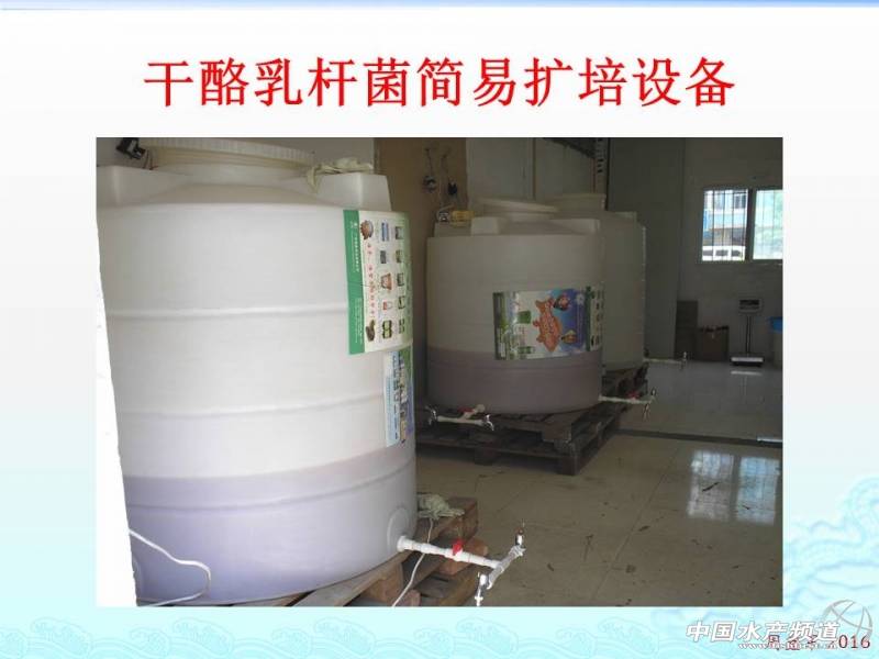 乳酸菌扩培流程,乳酸菌的扩培方法视频