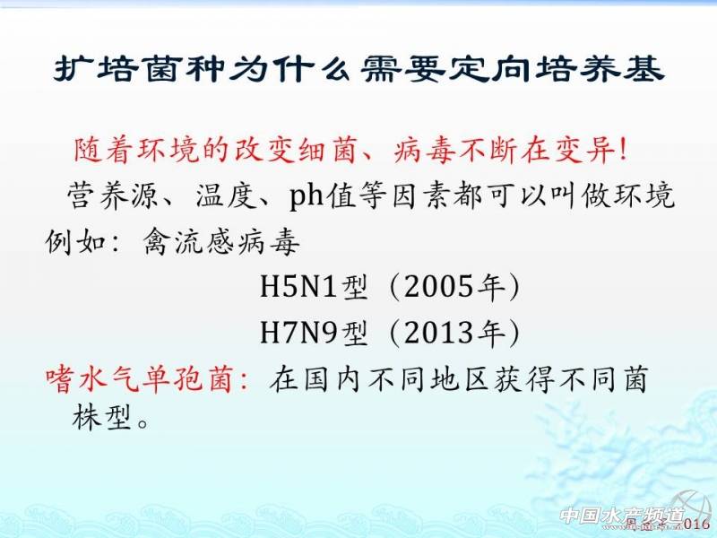 乳酸菌扩培流程,乳酸菌的扩培方法视频