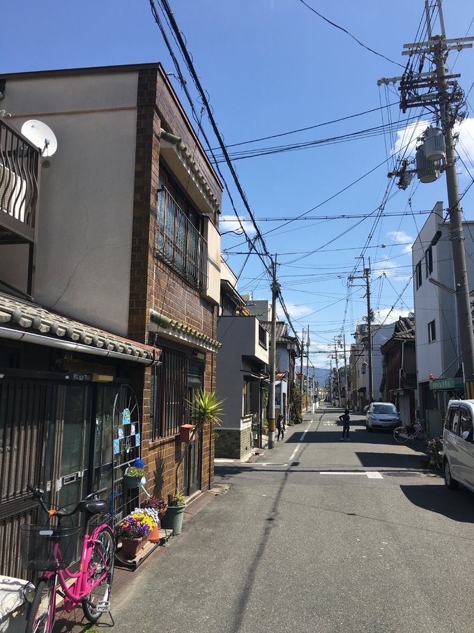 16年的大阪,京都樱花2016