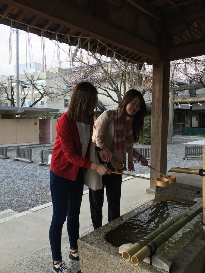 16年的大阪,京都樱花2016