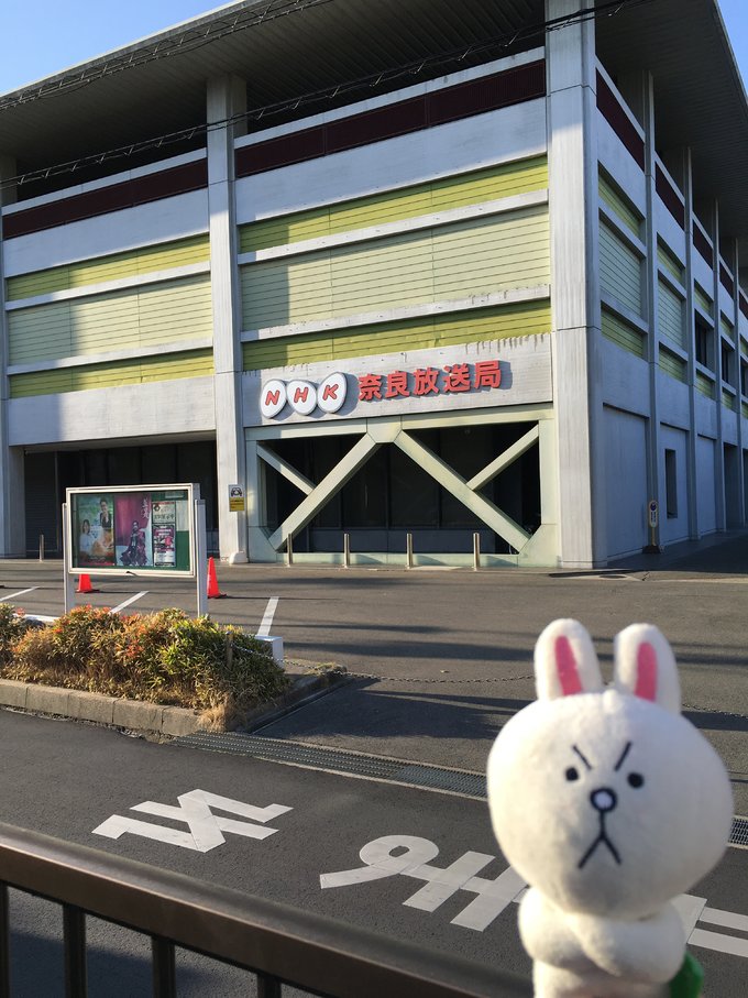 16年的大阪,京都樱花2016