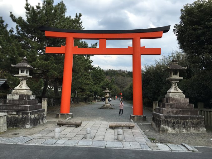 16年的大阪,京都樱花2016