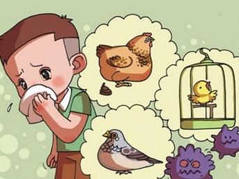 老公吸毒屡教不改要如何快速离婚,老公吸毒该不该离婚