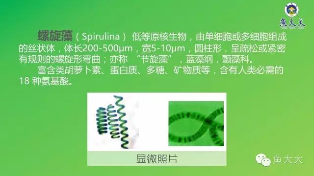 如何区分螺旋藻片和小球藻片,螺旋藻与小球藻营养价值区别
