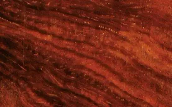 品鉴木头完整版,品鉴一般鉴别什么物品