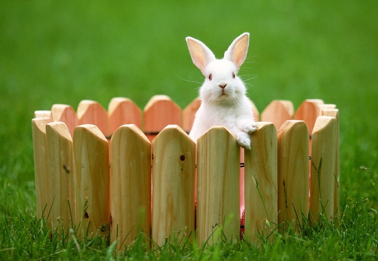如何让哭闹的孩子平静下来,如何纠正孩子躺地上哭闹的习惯