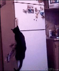 冰箱贴的小知识,冰箱知识和选购技巧