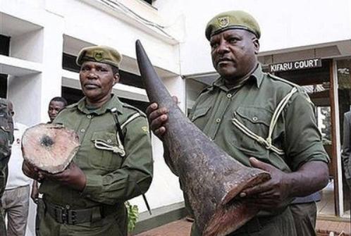 你绝对不敢玩的文玩宝贝，40名荷枪实弹的士兵日夜守护！