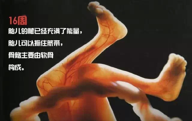 造人计划之前必须要做的几件事,造人是个很辛苦的事情