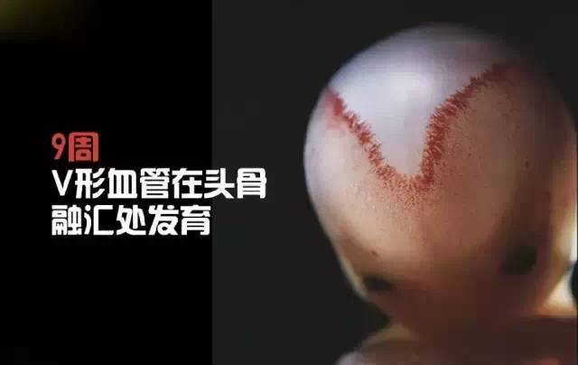 造人计划之前必须要做的几件事,造人是个很辛苦的事情