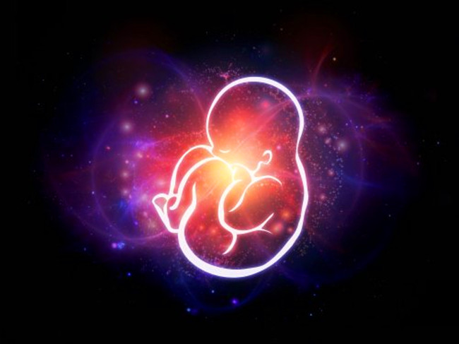 南怀瑾请善待你的孩子,南怀瑾老师谈试管婴儿