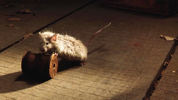 他天生有特异功能，被他触摸的人活过104岁，一个吻让癌症痊愈