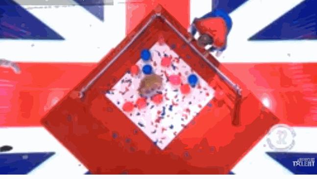 狗狗看见气球就想玩,狗狗咬爆100个气球