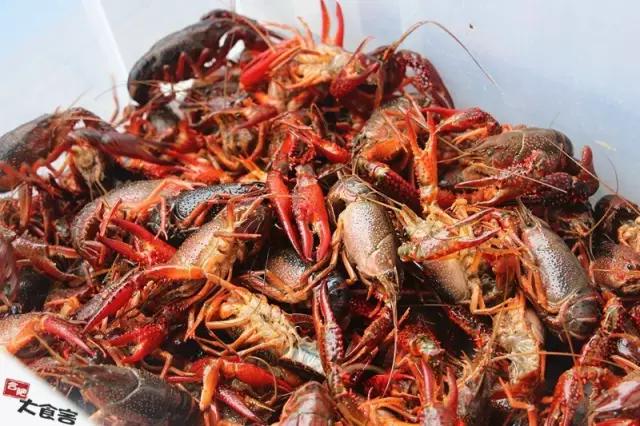 金湖龙虾正宗,金湖精品龙虾