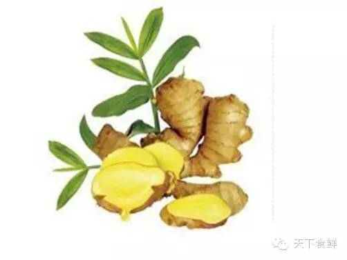 抗生素还是天然的好，你知道的有哪些？