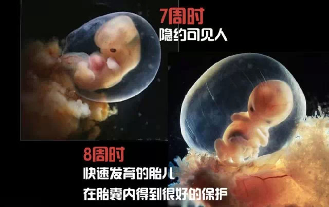 造人计划之前必须要做的几件事,造人是个很辛苦的事情