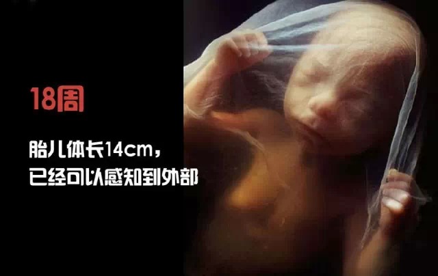 造人计划之前必须要做的几件事,造人是个很辛苦的事情