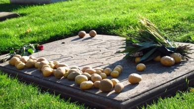 历史上这3条机智法律巧妙的解决了社会问题