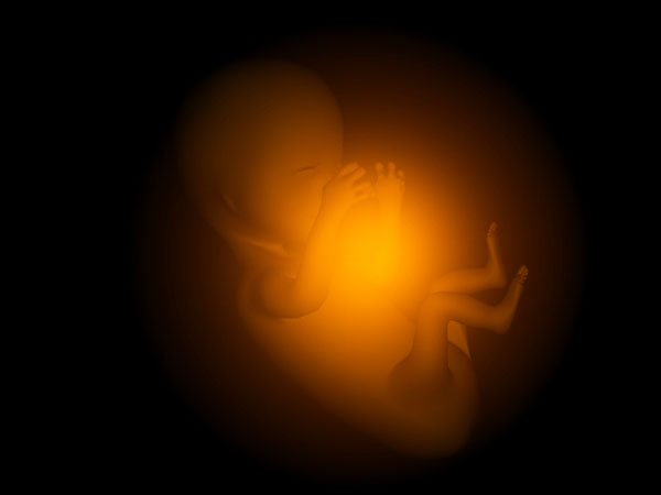 南怀瑾请善待你的孩子,南怀瑾老师谈试管婴儿