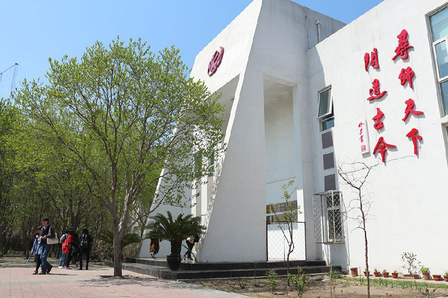 安德烈来中国完整版,安德烈我的世界