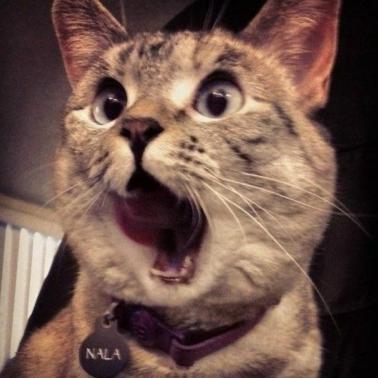 优秀军改转业干部代表分享经验,一位转业干部感悟