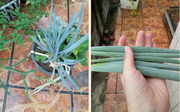 四岁孩子晚上睡觉老鼻塞怎么回事,宝宝睡觉鼻塞憋醒最快的解决方法