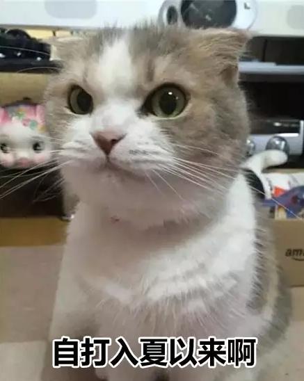 皇上快把臣妾打入冷宫小说,皇上把我打入冷宫吧