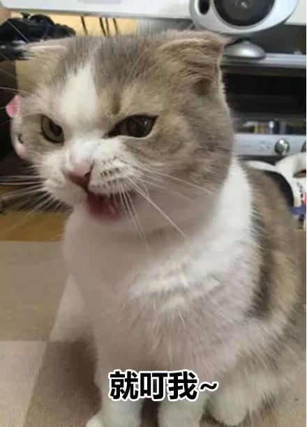 皇上快把臣妾打入冷宫小说,皇上把我打入冷宫吧