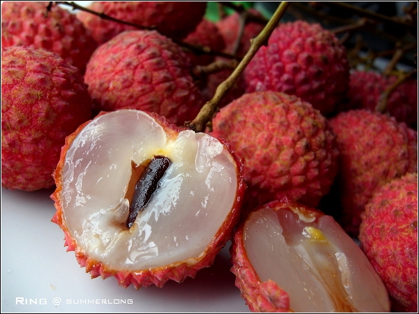 女人宁做泼妇不做贤惠,女人宁当寡妇也不愿做老婆