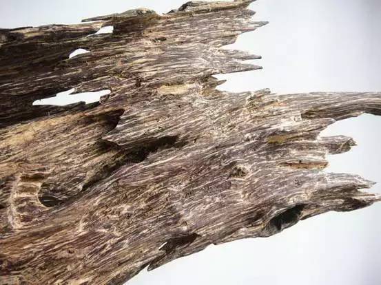 品鉴木头完整版,品鉴一般鉴别什么物品