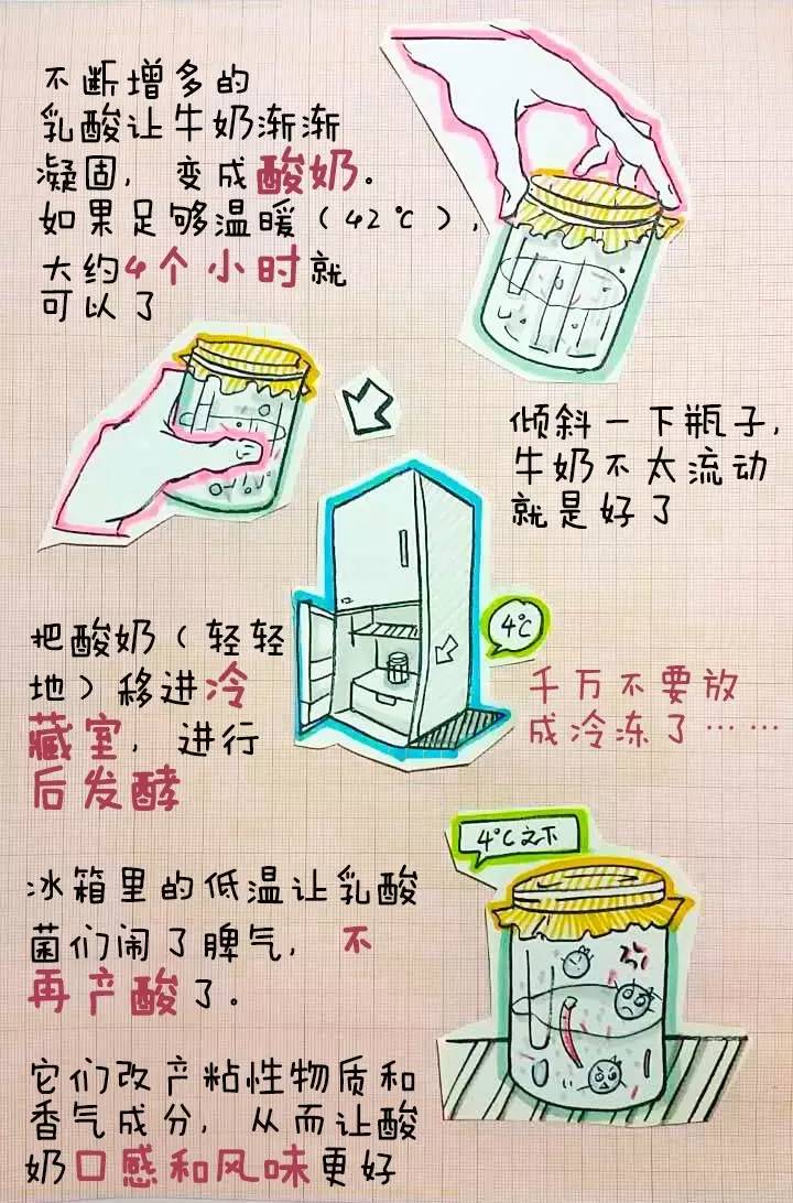 营养师教你自制益生菌,美国注册营养师都学什么