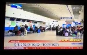 菲囧,菲囧歌曲完整版