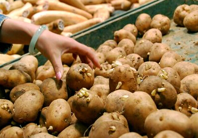 中毒的急救处理五步,家中食物中毒怎么解毒最有效