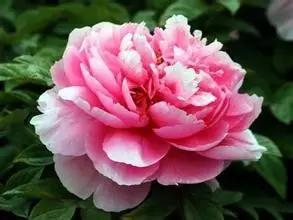 吃完这100种美食、看过这100种风景，可能再也离不开太仓！