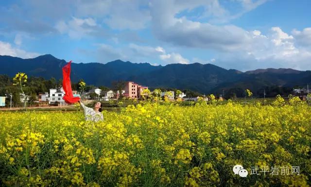 武平岩前有哪些景区,武平岩前有什么好玩的