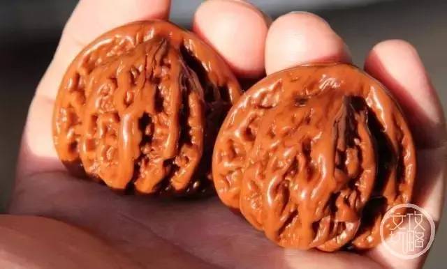 老婆和妈掉水里先救谁正确答案,媳妇和孩子掉水里先救谁最佳答案