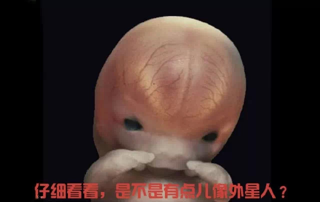 造人计划之前必须要做的几件事,造人是个很辛苦的事情