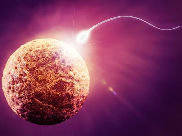 促卵泡刺激素高是卵泡发育不好吗,卵泡发育不良有啥症状