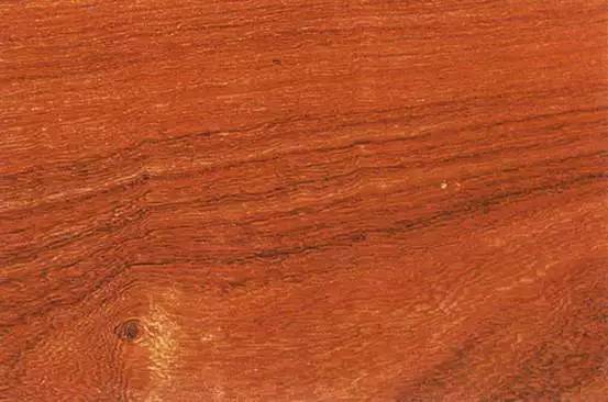 品鉴木头完整版,品鉴一般鉴别什么物品