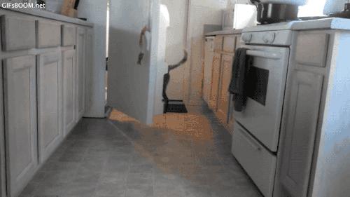 冰箱贴的小知识,冰箱知识和选购技巧