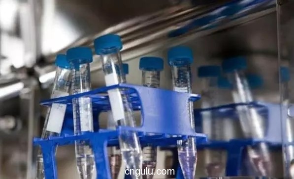 盘点公司给的奇葩福利,科技公司福利大全