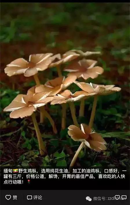 探店|被微商绑架的朋友圈