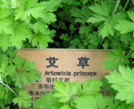 ​还被痛经困扰吗？让这九个验方来帮你！