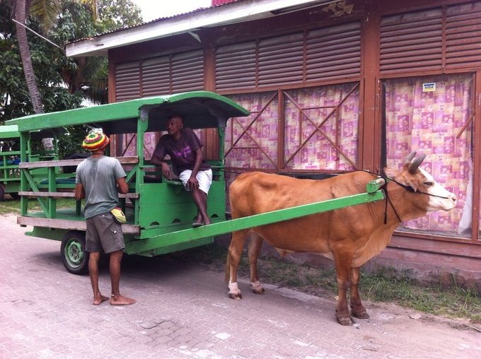 充满颜色的塞舌尔