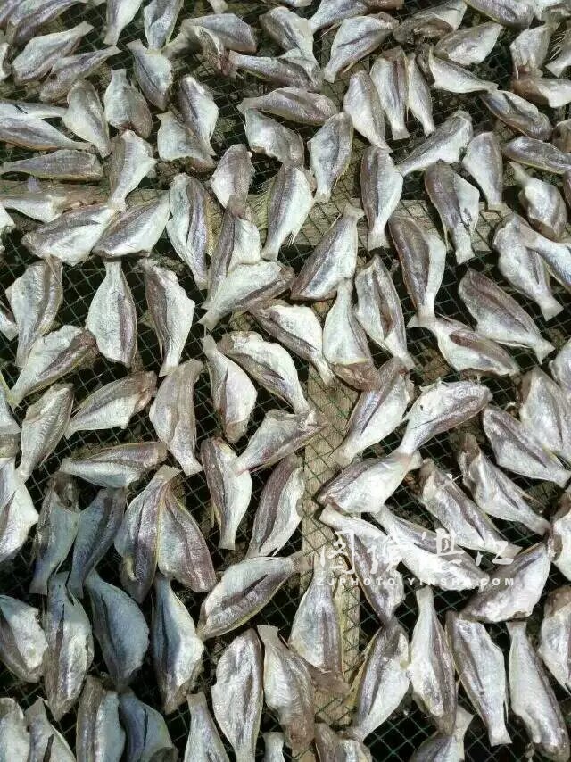 来自阳光的味道--雷州半岛的鱼干
