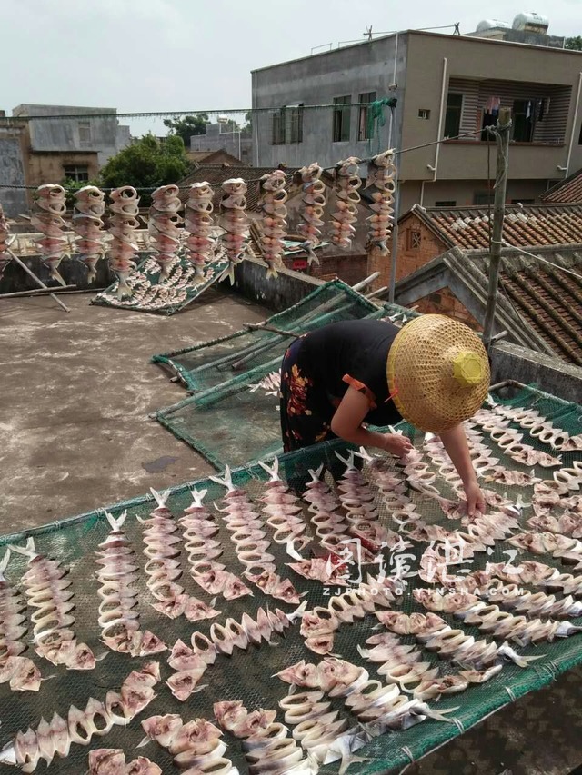 来自阳光的味道--雷州半岛的鱼干