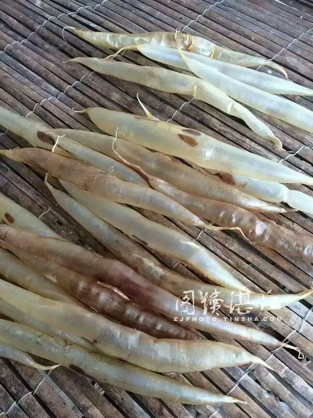 来自阳光的味道--雷州半岛的鱼干