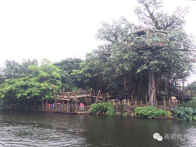 香港体验生活完整版,香港吃喝玩乐