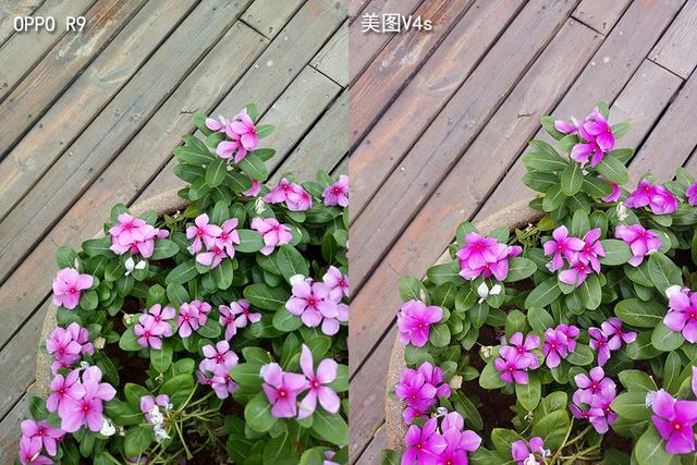 oppor9s拍照效果怎么样视频,oppor9s怎样拍照好看