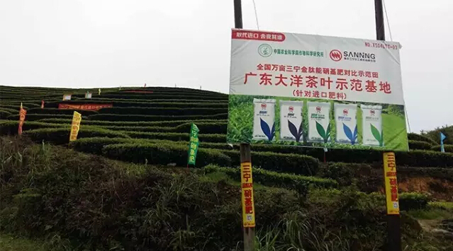 婀栧寳鏋濇睙涓夊畞,婀栧寳涓夊畞濂藉悧